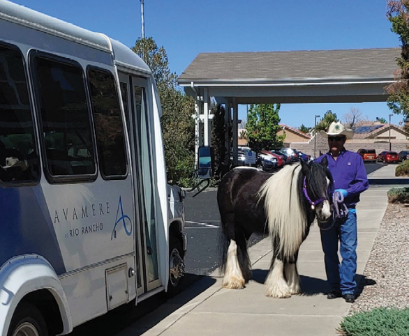 Poetry the Horse Visits Avamere at Rio Rancho